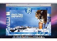 Wild Cat beer website